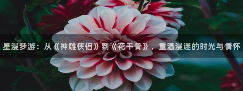 一念永恒漫画奇漫屋